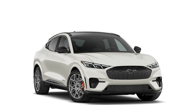 Mustang Mach-E® vehicle